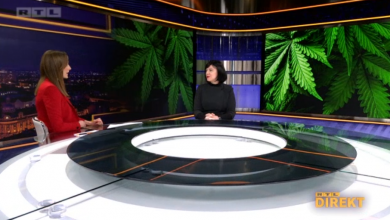 Photo of VIDEO Stiže Lex cannabis, zakon koji predviđa potpunu legalizaciju konoplje