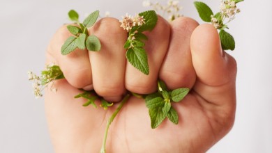 Photo of L’Oréal pokreće program L’Oréal for the future vrijedan 150 milijuna eura