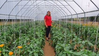Photo of IZBOR „NAJUZORNIJE HRVATSKE SEOSKE ŽENE” Ličko-senjsku županiju predstavljat će Marijana Svetić iz Ličkog Novog