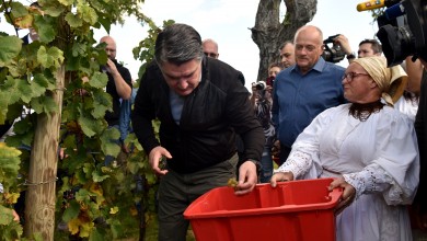 Photo of Predsjednik Milanović s diplomatima u „Diplomatskoj berbi“ na Plešivičkom gorju