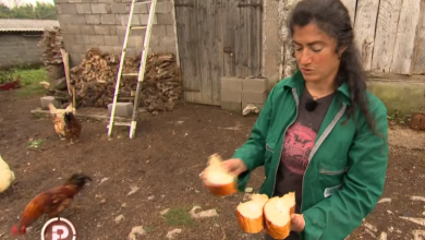 Photo of VIDEO Trebala je postati kirurg, a završila sama u selu u srcu Like: “Biti žena i biti sama, u ovim je sredinama teret koji te obilježi”