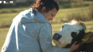 Photo of PODUZETNE, PAMETNE I VRIJEDNE Potraga donosi priče seoskih žena iz Like, Slavonije i Međimurja