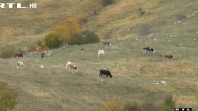 Photo of VIDEO HDZ-ov župan nagomilao 40-ak terena, a sada kupuje i po Zadru: Potraga istražila kako i zašto!