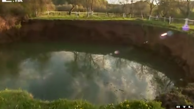 Photo of VIDEO U Mečenčanima je počela druga faza istraživanja vrtača! Evo što stručnjaci žele utvrditi i kako im pomaže biorazgradiva boja