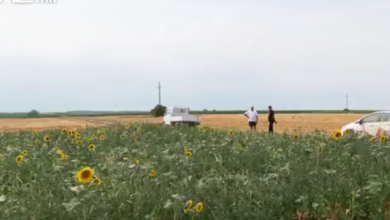 Photo of VIDEO  Divljač im uništava usjeve, ostavlja goleme štete, a poljoprivrednici ih ni ne prijavljuju jer se teško mogu naplatiti