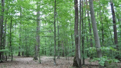 Photo of Hrvatske šume d.o.o. dobile potvrdu neovisnih stručnjaka  da se šumama gospodari prema najvišim svjetskim standardima