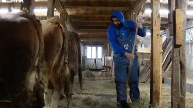 Photo of VIDEO Ne zabrlja li administracija, hrvatska poljoprivreda može računati na 3,5 milijarde eura iz EU: “Poticaji su nam potrebni”