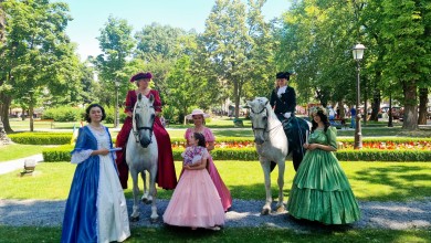 Photo of Scensko-konjički spektakl s lipicancima glavna atrakcija festivala „SVI zaJEDNO HRVATSKO NAJ“