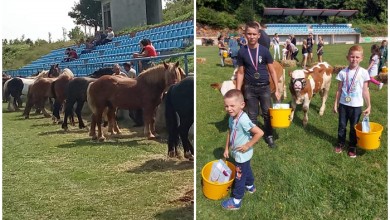 Photo of Održana smotra konja Krivi Put, kojoj je cilj očuvanje izvornih pasmina