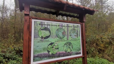 Photo of Uređena edukativna staza na razminiranom području Kotar šume