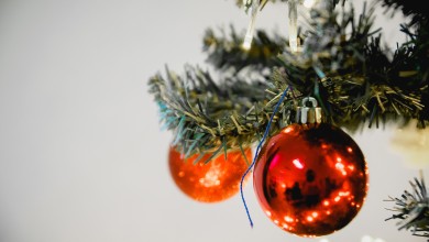 Photo of Danas počinje blagoslov obitelji u otočkoj župi