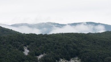 Photo of Rewilding Velebit: Povratak divljih životinja na Velebit koristi lokalnoj zajednici