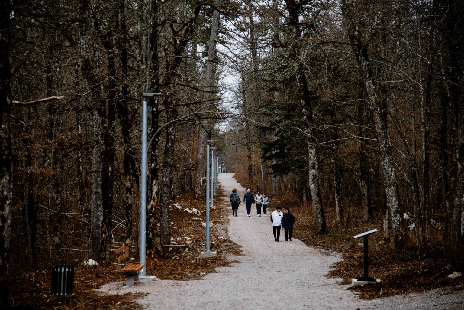 šuma jasikovac_projekt i video spot_2020 (11