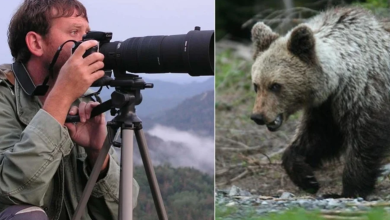 Photo of OVE SUBOTE Predstavljanje knjige “Tragom medvjeda” u Book cafeu Paradiso