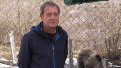 Photo of Svoj je život odlučio posvetiti medvjedima: “Mislim da osjete pozitivnu energiju s kojom im prilazim”