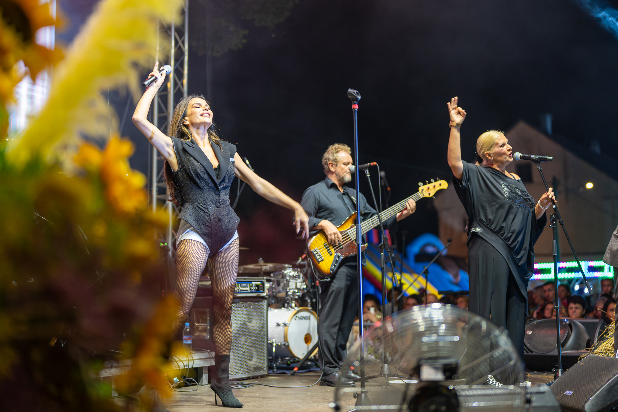 DSC00901-Enhanced-NR