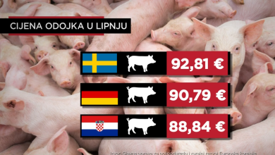 Photo of VIDEO Svinjetina je omiljeno meso Hrvatima, no sada se kupuje manje. Što nam donosi jesen?