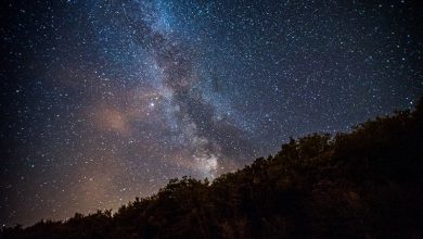 Photo of Suze svetog Lovre ove godine će nas zaobići? Astronom objasnio zašto