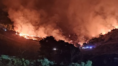 Photo of U 2024. godini zabilježeno više od 35.000 vatrogasnih intervencija
