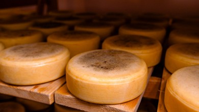 Photo of Država ulaže u sir: Osigurano milijun eura za modernizaciju mini sirana