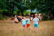 Photo of EKSKLUZIVNO ISTRAŽIVANJE Čuvari ličke poljoprivrede – tiha borba za opstanak sela, neobjavljeni podaci i stvarne priče