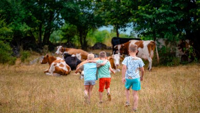 Photo of EKSKLUZIVNO ISTRAŽIVANJE Čuvari ličke poljoprivrede – tiha borba za opstanak sela, neobjavljeni podaci i stvarne priče