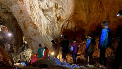 Photo of Međunarodna noć šišmiša: Radionice za djecu i noćni obilazak špilje Samograd