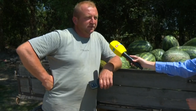 Photo of VIDEO Ovo je čovjek koji je iz očaja podijelio tone lubenica: “Zvali smo sve, nitko ništa nije trebao”