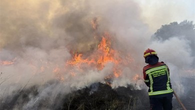 Photo of HVZ: U požarima smrtno stradalo gotovo 80 posto više osoba nego lani