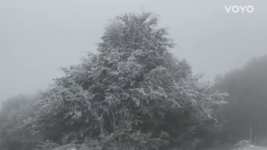 Photo of VIDEO Ovo je jedino mjesto u Hrvatskoj pod snijegom, kamera snimila idilu: “Kao zimsko jutro”