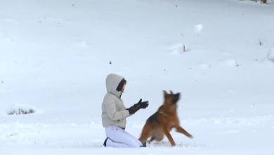 Photo of VIDEO Stiže li nam zaista ledena zima kakva je nekoć bila? Evo što kaže ugledni klimatolog