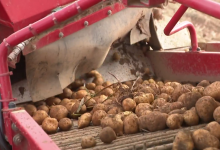 Photo of VIDEO Poljoprivrednici suočeni s novim mjerama EU-a: “Bez toga je nemoguće proizvoditi hranu”