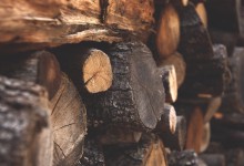 Photo of Hrvatske šume podižu cijene drvne građe