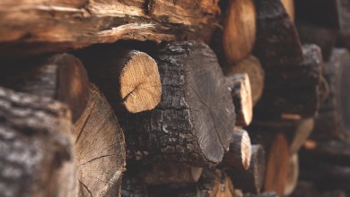 Photo of Hrvatske šume podižu cijene drvne građe