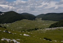 Photo of Organizacija Rewilding Velebit pod povećalom: Postavljena pitanja o elitnom lovu i misiji zaštite prirode