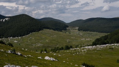 Photo of Organizacija Rewilding Velebit pod povećalom: Postavljena pitanja o elitnom lovu i misiji zaštite prirode