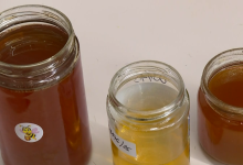 Photo of VIDEO Svaka četvrta teglica meda u Hrvatskoj je patvorena: “Dodaju sirup, izgleda kao pravi med”