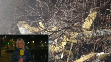 Photo of VIDEO RTL Danas blizu mjesta pada zrakoplova: Otkrivamo detalje nesreće