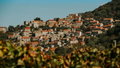 Photo of Danas je Međunarodni dan Mediterana, a mi imamo sreću da živimo na ovom dijelu svijeta