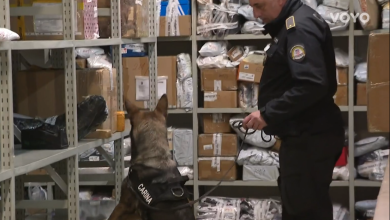 Photo of VIDEO Hrvatska pošta radi danonoćno zbog ogromne količine paketa: Brojke su veće nego prošle godine