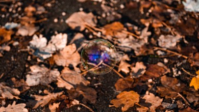 Photo of Gusta magla i niže temperature: Meteorolog otkrio što nas čeka u ostatku tjedna