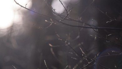 Photo of Oblačan i tmuran vikend, a što nas čeka za Božić? Meteorologinja najavila promjenu