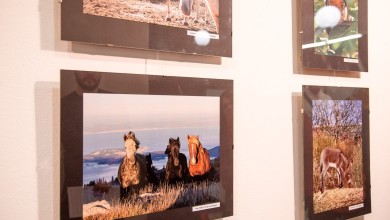 Photo of Izložba “Rewilding Velebit – fotografije divljine” uskoro u Kninu