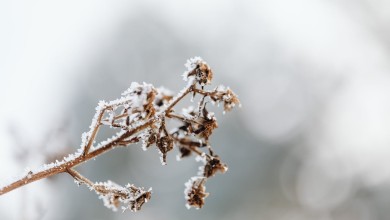 Photo of DHMZ izdao upozorenje na hladne valove koji mogu djelovati na zdravlje