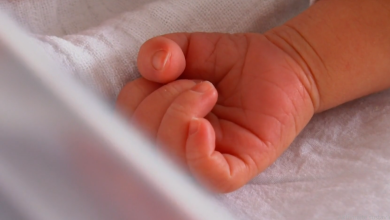 Photo of VIDEO U Hrvatskoj više rođenih nego godinu prije. Što je dovelo do pozitivnih brojki?