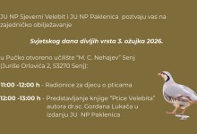 Photo of Obilježavanje Svjetskog dana divljih vrsta u znaku ptica Velebita