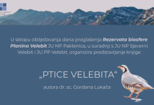 Photo of Bogatstvo ptičjeg svijeta Velebita u novoj knjizi