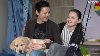 Photo of VIDEO Godinu dana igre, a onda velika odgovornost: Štenci koji će nekome promijeniti svijet