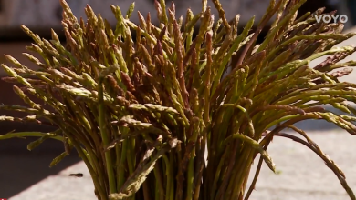 Photo of VIDEO Omiljena delicija stigla na tržnice: Pazite, krivi potez može vas koštati i 1000 eura