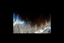 Photo of Video kakav se rijetko viđa: Zimski dan na Velebitu – iz perspektive medvjeda!